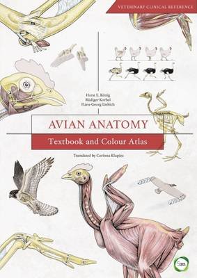 Avian Anatomy 2nd Edition: Textbook and Colour Atlas 5M Books Ltd