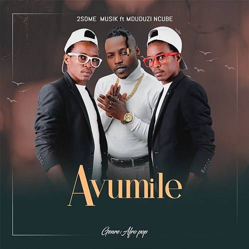 Avumile 2Some Musik feat. Mduduzi Ncube