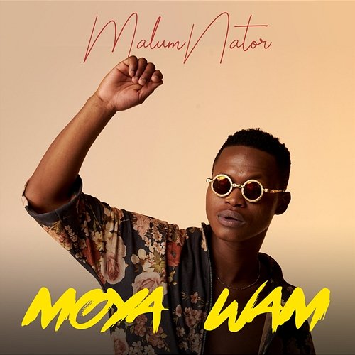 Aw’Yebo MalumNator feat. De Mthuda, Ntokzin, MFR Souls