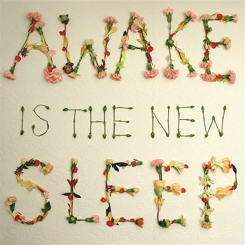 Awake Is the New Sleep Ben Lee
