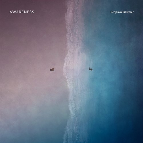 Awareness Benjamin Riesterer