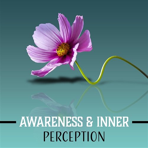 Awareness & Inner Perception: Buddhist Zen Philosophy, Self Reflect, Become a Guru, Peaceful Music, Deep Consciousness Tibetan Meditation Academy