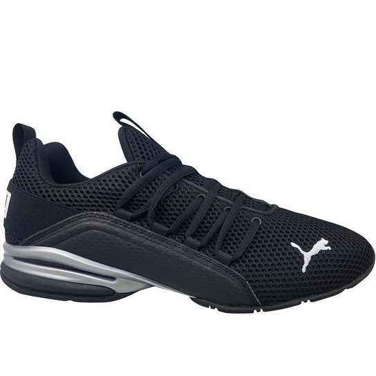 Axelion LS Puma