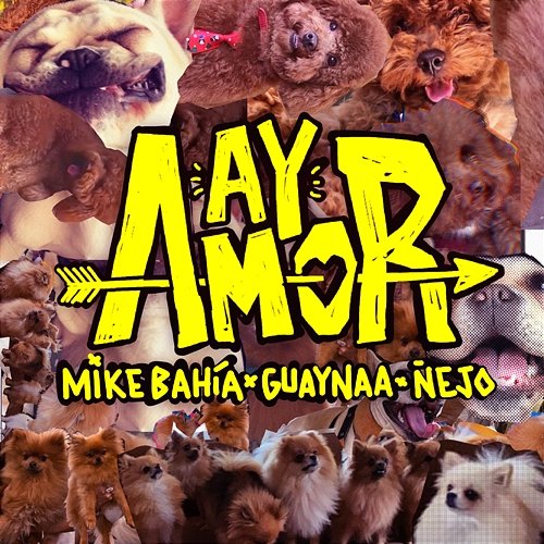 Ay Amor Mike Bahía, Guaynaa, Ñejo