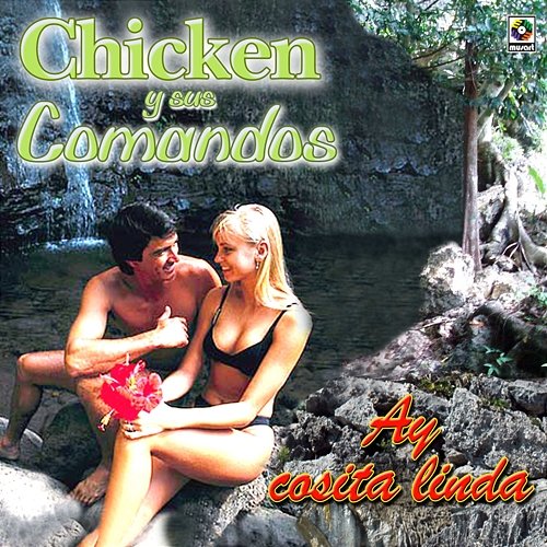 Ay Cosita Linda Chicken Y Sus Comandos
