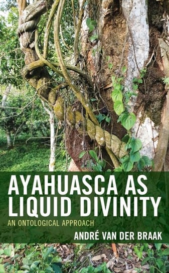 Ayahuasca as Liquid Divinity: An Ontological Approach Lexington Books