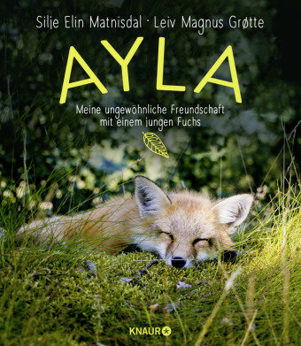 Ayla - meine ungewöhnliche Freundschaft mit einem jungen Fuchs Matnisdal Silje Elin, Grøtte Leiv Magnus