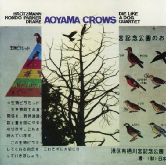 Ayoama Crows Die Like a Dog