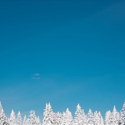 Aytook The Marlding Ice Fields