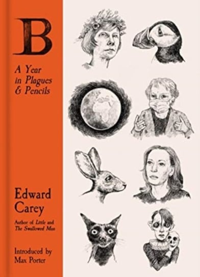 B: A Year in Plagues and Pencils Carey Edward