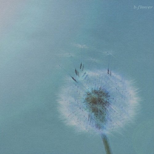 B-Flower B-Flower