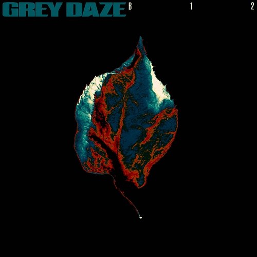 B12 Grey Daze