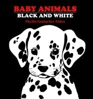 Baby Animals Black And White Tildes Phyllis