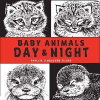 Baby Animals Day & Night Tildes Phyllis Limbacher