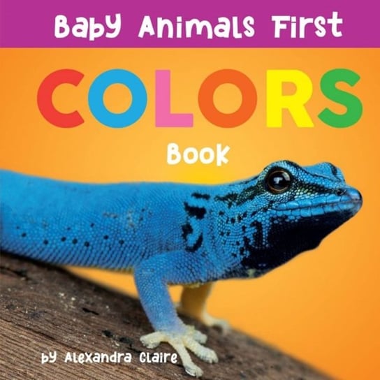 Baby Animals First Colors Book Claire Alexandra