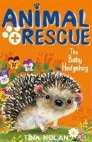 Baby Hedgehog Nolan Tina