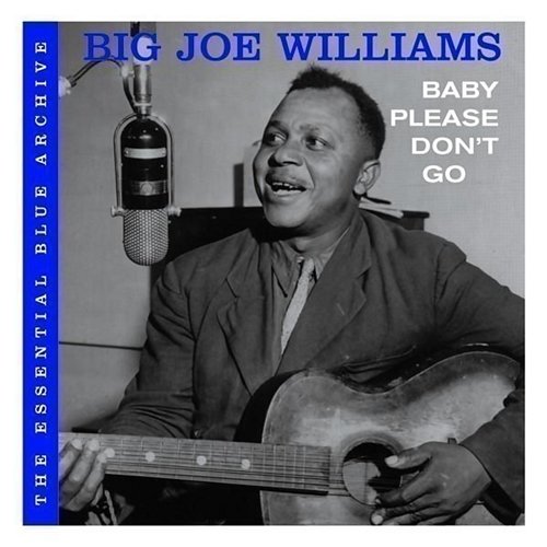 Baby Please Don't Go Big Joe Williams