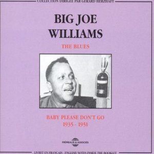 Baby Please Dont Go 1935-1952 Big Joe Williams