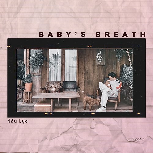 Baby's Breath Nâu Lục