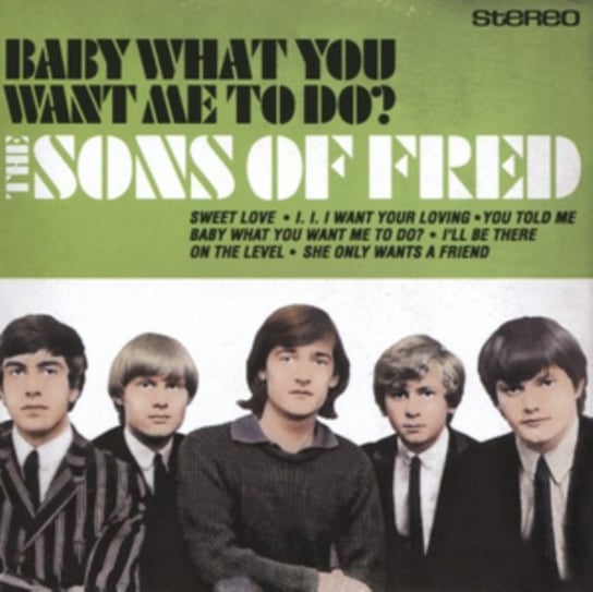 Baby What You Want Me To Do The Sons of Fred