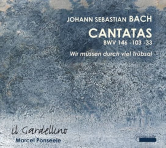 Bach: Cantatas BWV 146, 103, 33 Il Gardellino