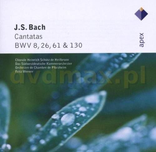 Bach: Cantatas BWV 8,26,61&130 Various Artists