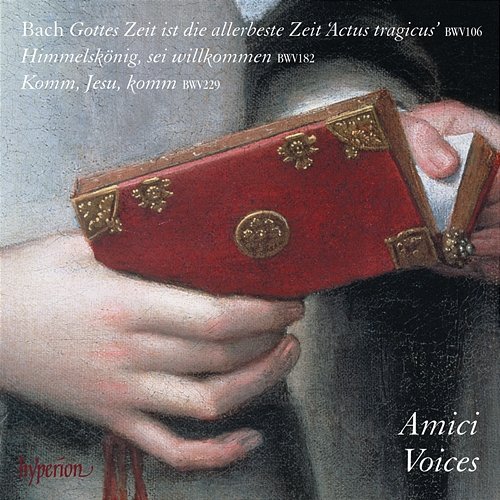 J.S. Bach: Gottes Zeit ist die allerbeste Zeit, BWV 106 "Actus tragicus": I. Sonatina Amici Voices