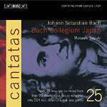 Bach: Cantatas. Volume 25: Bwv 78, 99, 114 Various Artists