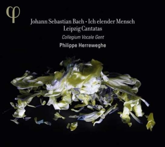 Bach: Ich Elender Mensch Collegium Vocale Gent, Herreweghe Philippe