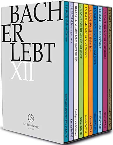 Bach,Johann Sebastian - Bach Erlebt Xii (10 Dvd) Various Directors