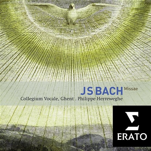 Bach: Masses, BWV 233 - 235 & Sanctus, BWV 238 Philippe Herreweghe feat. Collegium Vocale Gent
