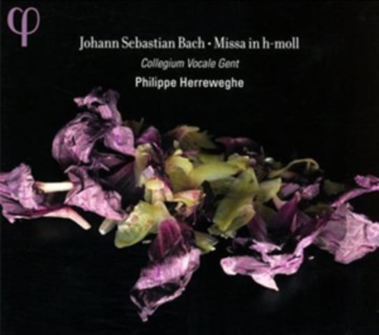 Bach: Missa in h-moll Collegium Vocale Gent, Mields Dorothee, Blazikova Hana, Guillon Damien, Kooij Peter