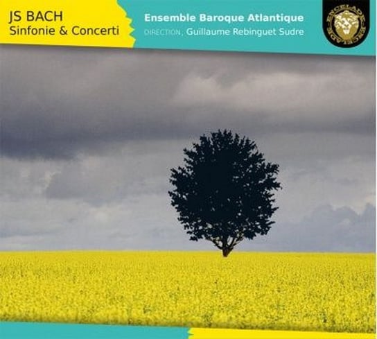 Bach: Sinfonie & Concerti The Ensemble Baroque Atlantique