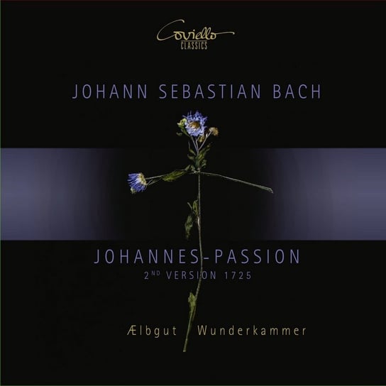 Bach: St. John Passion, Johannes-Passion Ensemble Wunderkammer, Schwandtke Felix, Kristjansson Benedikt