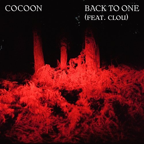 Back To One Cocoon, Clou