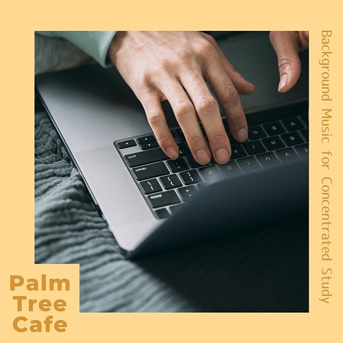 Background Music for Concentrated Study Palm Tree Cafe