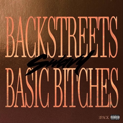 Backstreets and Basic Bitches Swavy