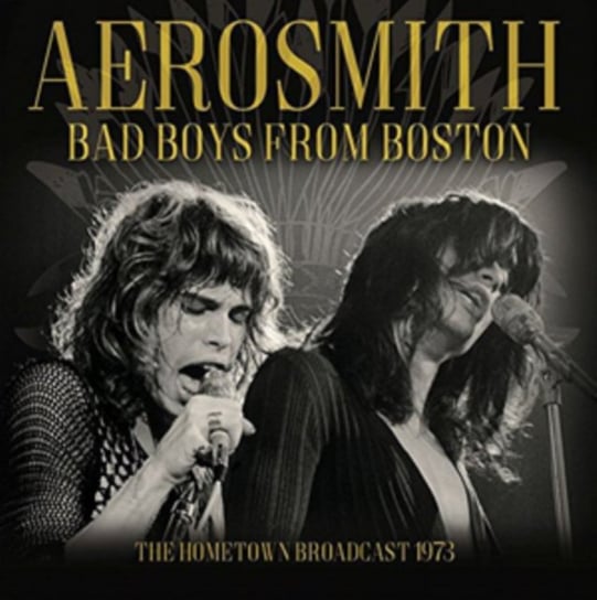 Bad Boys From Boston Aerosmith