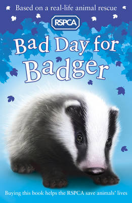 Bad Day for Badger Hawkins Sarah