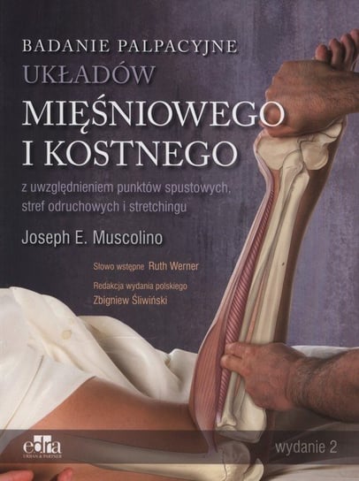 Badanie palpacyjne układów mięśniowego i kostnego. Z uwzględnieniem punktów spustowych, stref odruchowych i stretchingu Muscolino Joseph E.