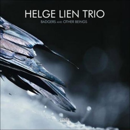 Badgers And Other Beings, płyta winylowa Helge Lien Trio