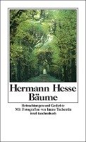 Bäume Hesse Hermann