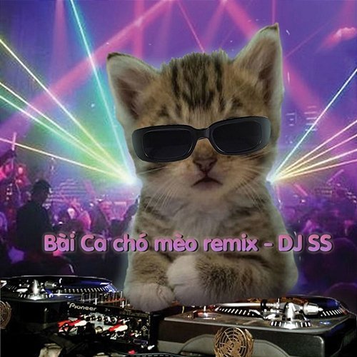 Bài Ca Chó Mèo DJ SS