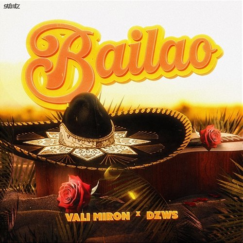 Bailao Vali Miron & DZWS