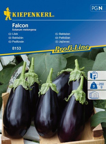Bakłażan Falcon F1 Solanum melongena KIEPENKERL