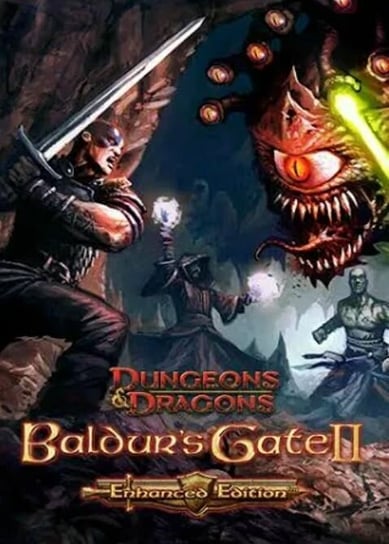 Baldur's Gate II: Enhanced Edition, klucz Steam, PC Aspyr, Media