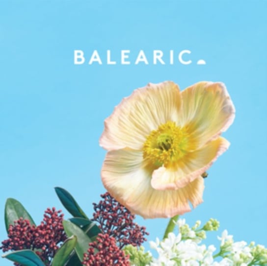 Balearic 4 Various Artists