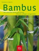 Bambus Eberts Friedrich