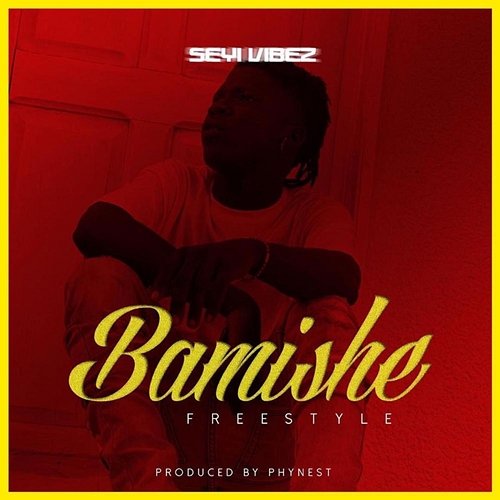 Bamishe (Freestyle) Seyi Vibez