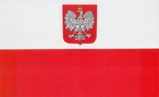 Bandera Polski 110 x 70 cm Inna marka